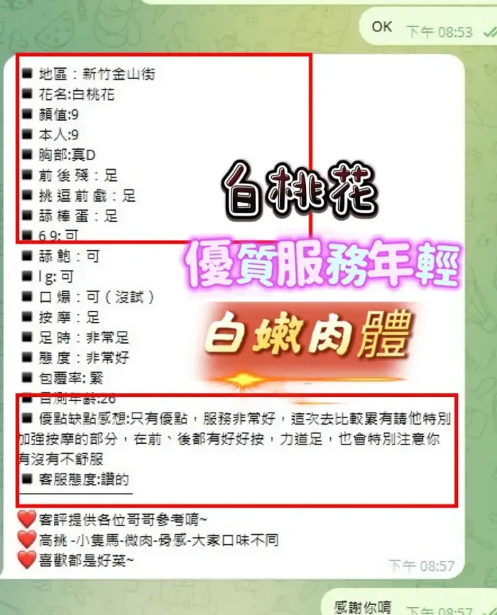 新竹定點茶-白桃花　
