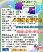 台中定點茶-鑽石