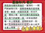 台北定點茶-喜綿秋代