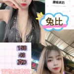 台北定點茶-兔比