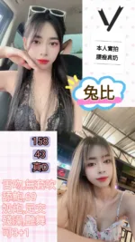 台北定點茶-兔比