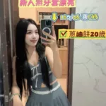 台南定點茶-蔥油餅
