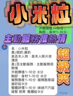 台中定點茶-小米粒
