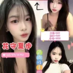桃園定點茶-花守夏步