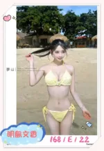 台中定點茶-明島文香